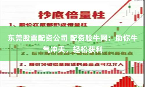 东莞股票配资公司 配资股牛网：助你牛气冲天，轻松获利