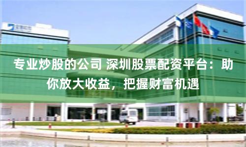专业炒股的公司 深圳股票配资平台：助你放大收益，把握财富机遇