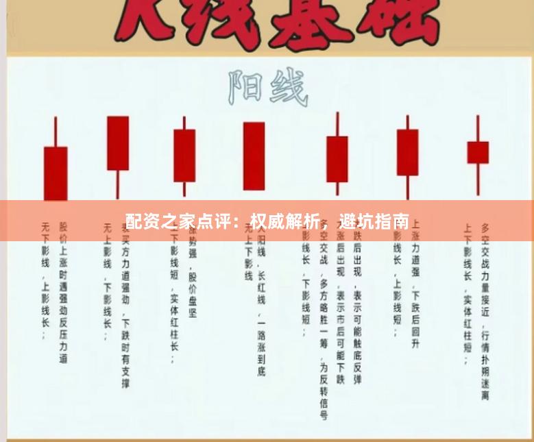配资之家点评：权威解析，避坑指南