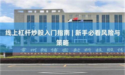 线上杠杆炒股入门指南 | 新手必看风险与策略